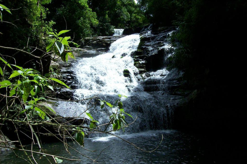 Terra Do Sempre - Reserva Ambiental 호텔 São Francisco de Paula 외부 사진