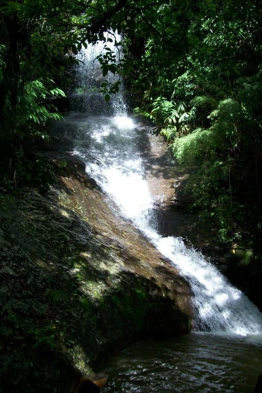 Terra Do Sempre - Reserva Ambiental 호텔 São Francisco de Paula 외부 사진