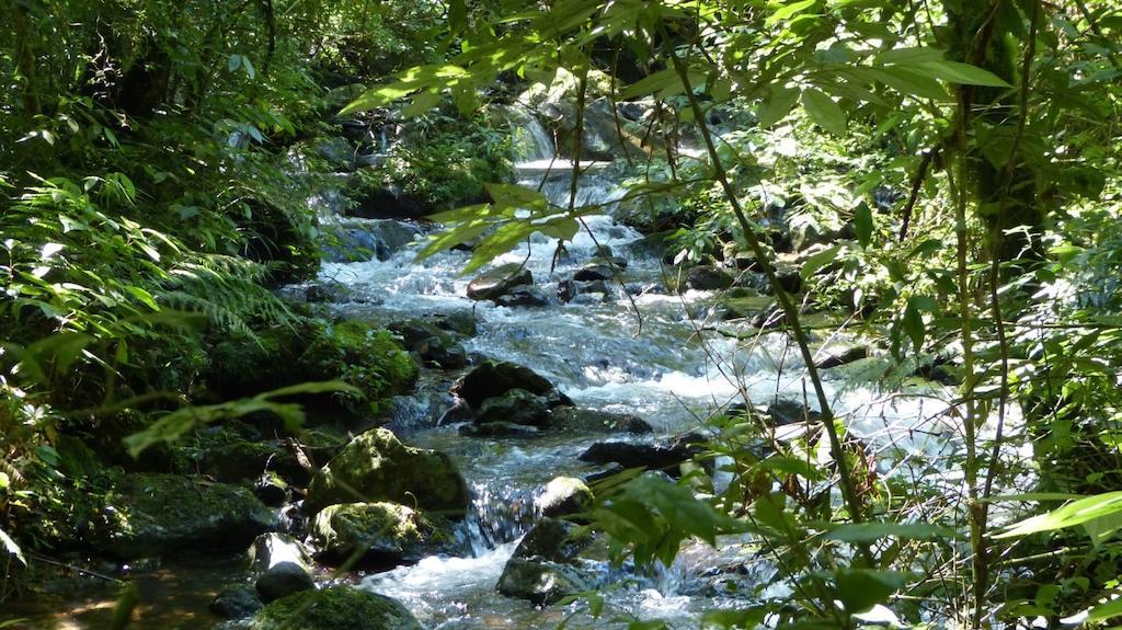 Terra Do Sempre - Reserva Ambiental 호텔 São Francisco de Paula 외부 사진